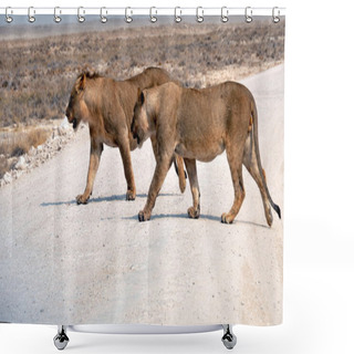 Personality  Lions Shower Curtains