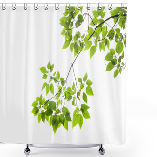 Personality  Spring Leaves Shower Curtains