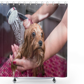 Personality  Groomer Washing Dog Shower Curtains