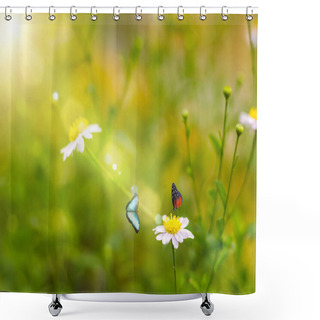Personality  Grass Flower  Blowing In The Wind In The Morning With Golden Sunshine With  Two Butterflies Shower Curtains