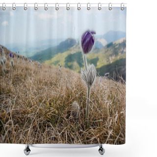 Personality  Spring Flower  Shower Curtains