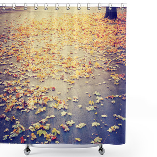 Personality  Autumn Tree And Leaves Shower Curtains