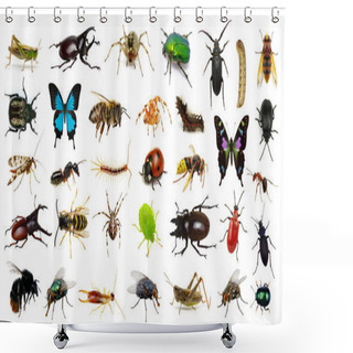 Personality   Set Of Insects  Shower Curtains