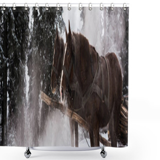 Personality  Horses With Horse Harness In Snowy Mountains With Pine Trees, Panoramic Shot Shower Curtains