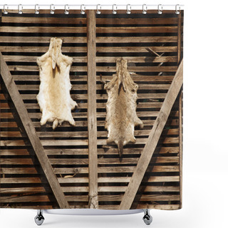 Personality  Two Hare Furs Shower Curtains