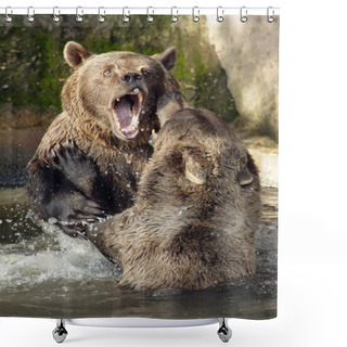 Personality  Fighting Bears. Shower Curtains