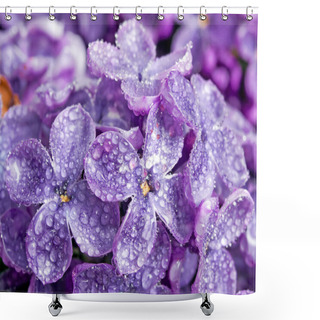 Personality  Lilac. Shower Curtains