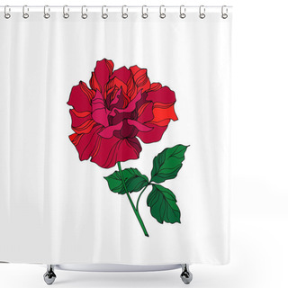 Personality  Vector Rose Floral Botanical Flower. Red And Green Engraved Ink Art. Isolated Rose Illustration Element. Shower Curtains