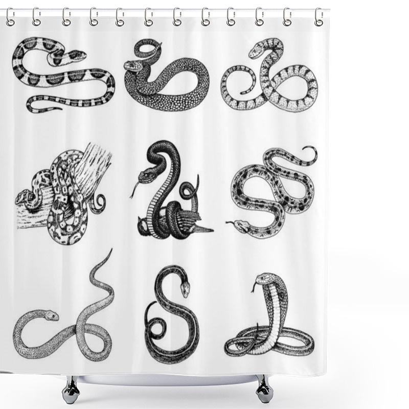 Personality  Set Viper Snake. Serpent Cobra And Python, Anaconda Or Viper, Royal. Engraved Hand Drawn In Old Sketch, Vintage Style For Sticker And Tattoo. Ophidian And Asp. Shower Curtains