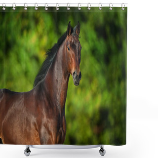 Personality  Bay Horse Portrait Outdoor In Green Trees Backgound Shower Curtains