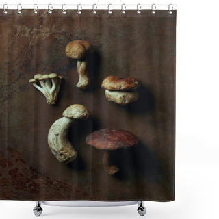 Personality  Top View Of Assorted Raw Edible Mushrooms On Dark Grunge Surface  Shower Curtains