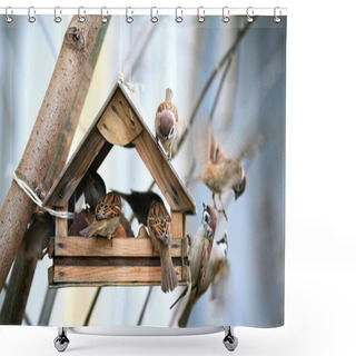 Personality  Bird Feeders. Tree House For The Birds, Cheerful Apartment Shower Curtains
