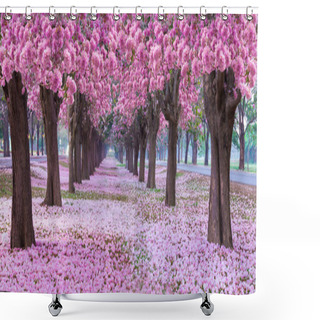 Personality  Scenery Of Park Footpath With Blossoming Cherry Trees In Pink Shower Curtains