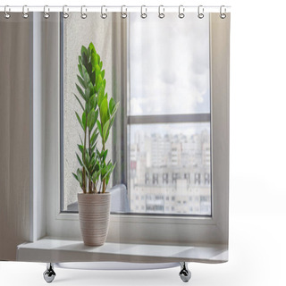 Personality  Green Zamioculcas Plant On The Windowsill Of A Sunlit Room, In The Distance The Urban Background, Many Residential Buildings Shower Curtains