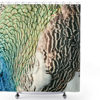 Personality  Full Frame Image Of Colorful Peacock Feathers Background  Shower Curtains