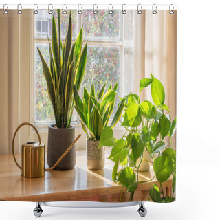 Personality  Indoor Houseplants By The Window Inside A Beautiful New House Or Flat Shower Curtains