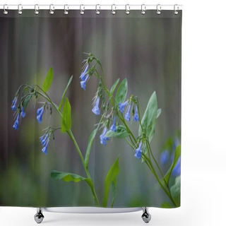 Personality  A Closeup Shot Of The Blue Bellflower In The West Virginia University Arboretum Shower Curtains