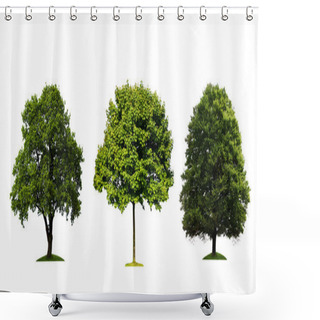 Personality  Fresh Green Trees Isolated On White Background Shower Curtains