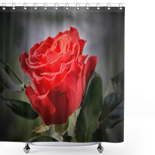 Personality  Romantic Rose Shower Curtains