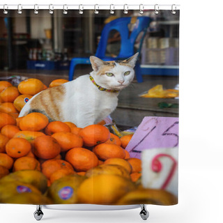 Personality  Funny Cat Sit In Oranges Shower Curtains