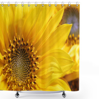 Personality  Sunflower Close Up View Shower Curtains