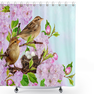 Personality  Two Sparrows On Near The Nest On The Background Of The Cherry Blossoms Shower Curtains