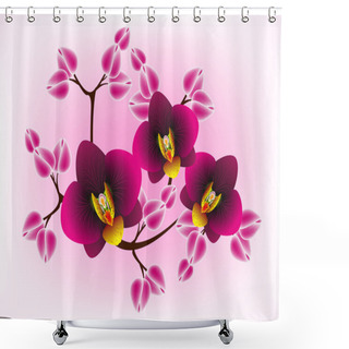 Personality   Floral Design Background, Orchids. Shower Curtains