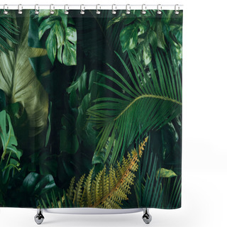 Personality  Creative Layout Made Of Tropical Leaves. Nature Concept Shower Curtains