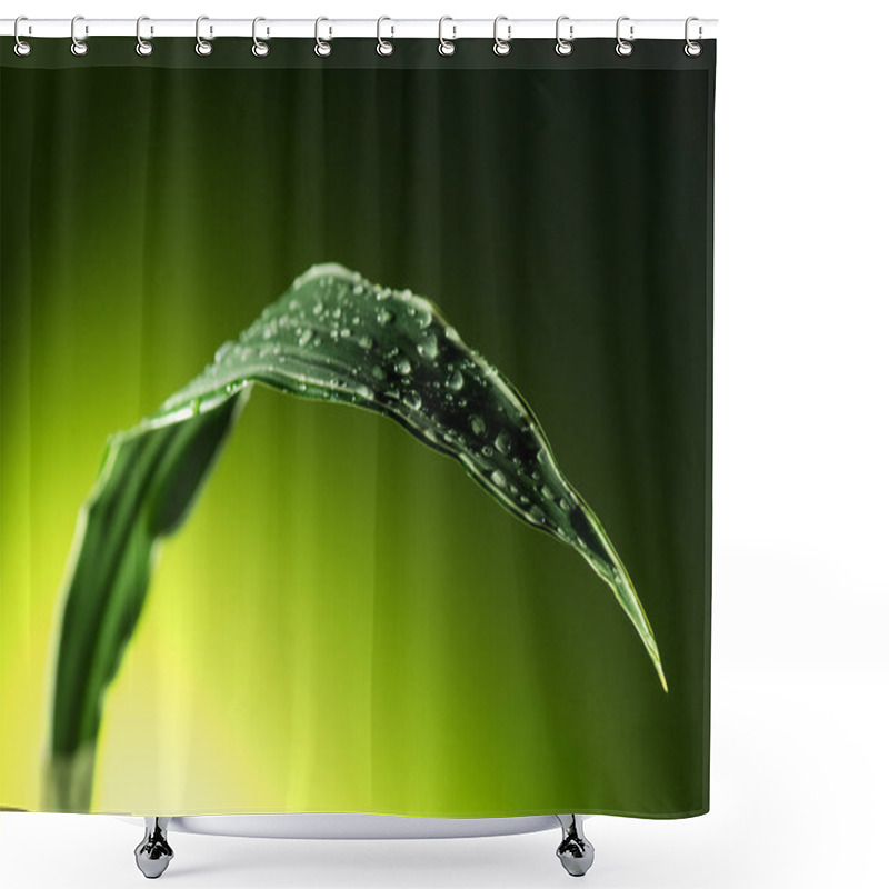 Personality  Plant Leaf With Water Drops Shower Curtains