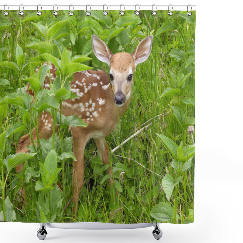 Personality  Whitetail Deer Fawn Standing In Tall Grass. Shower Curtains