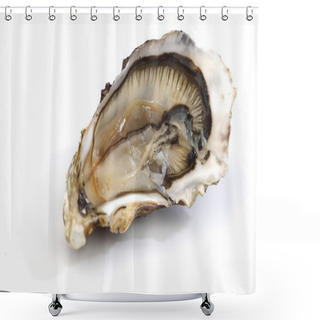 Personality  Oyster On White Shower Curtains