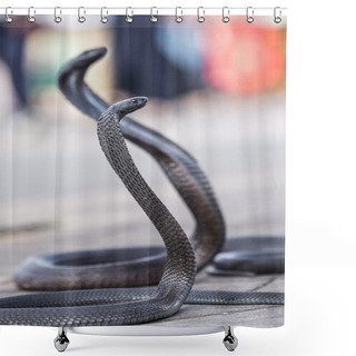 Personality  Two Egyptian Cobras Charmed At Jemaa El-Fnaa Square, Marrakesh (Morocco) Shower Curtains