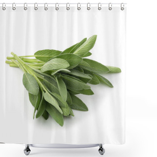 Personality  Sage Plant Isolated On White Background Shower Curtains