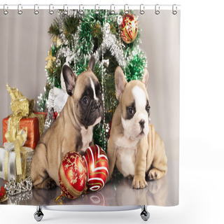Personality  French Bulldog Puppy And Gifts Christmas Shower Curtains