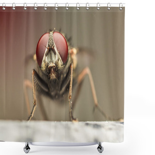 Personality  House Fly Shower Curtains