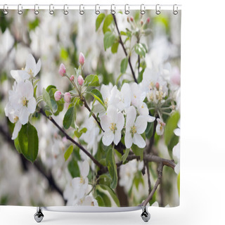 Personality  A Branch Of Blooming Apple Tree Shower Curtains