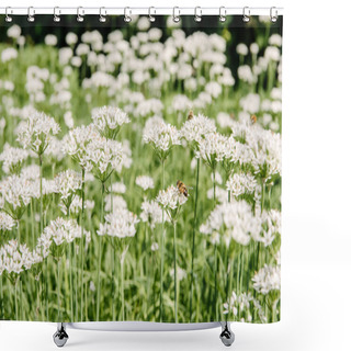 Personality  Close-up Shot Of Bees Sitting On Beautiful White Field Flowers Shower Curtains