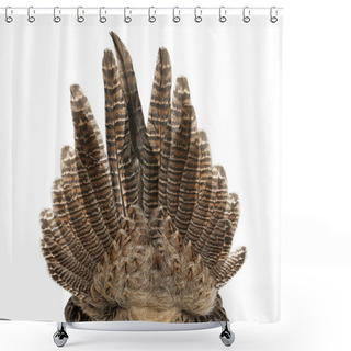 Personality  Close Up Of Female Golden Pheasant Or 'Chinese Pheasant', Chrysolophus Pictus, In Front Of White Background Shower Curtains