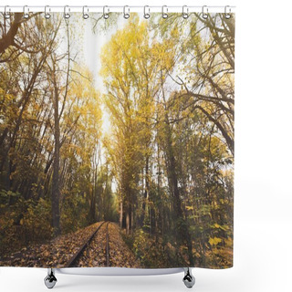 Personality  Railroad In Autumn Forest Shower Curtains