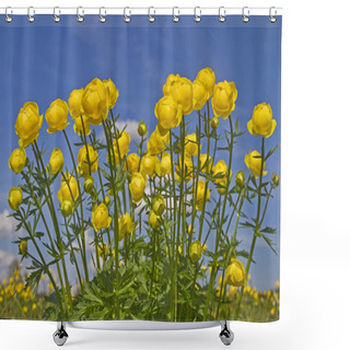 Personality  Trollius Europaeus In Spring Shower Curtains