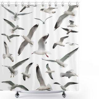 Personality  Birds Set Isolated Shower Curtains