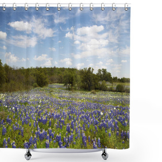 Personality  Bluebonnets In Texas Hill Country Shower Curtains