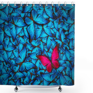 Personality  Beautiful Butterfly Background Shower Curtains