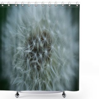 Personality  Close Up View Of Tender Dandelion Background Shower Curtains