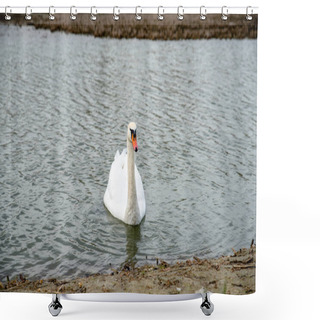 Personality  The Swan Swimming On The River, Beautiful Peaceful Place In Nature Shower Curtains