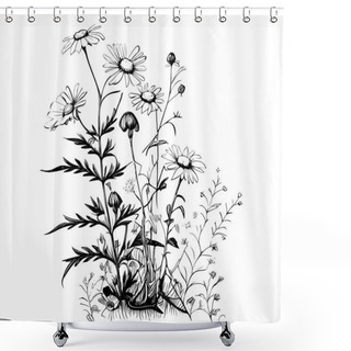 Personality  Wild Chamomile Flowers Hand Drawn Sketch Engraving Style Vector Illustration. Shower Curtains