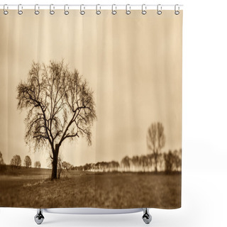 Personality  Only A Tree Shower Curtains