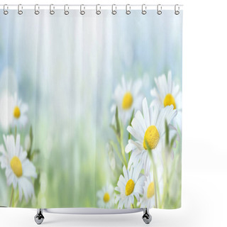 Personality  Green Grass And Chamomile In The Meadow. Spring Or Summer Nature Scene With Blooming White Daisies In Sun Glare. Soft Focus. Shower Curtains