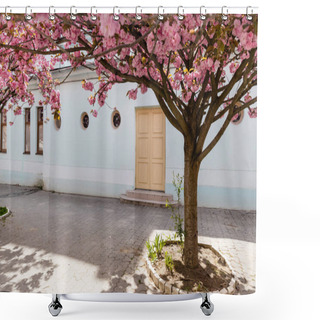 Personality  Blossoming Pink Flowers On Sakura Tree Near Building On Street Shower Curtains