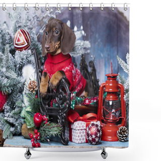 Personality  Puppy Dachshund; New Year's Puppy; Christmas Dog Shower Curtains